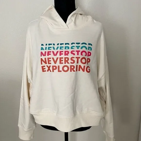 NWT The North Face Logo Play Hoodie - Picture 1 of 11